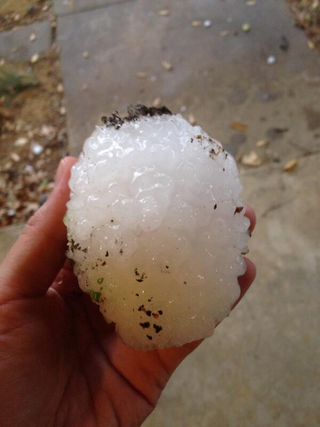 Illustration for article titled Denton had a bit of hail today
